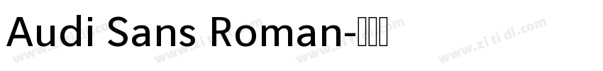 Audi Sans Roman字体转换